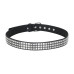Aderlass Studded Belt Nietengürtel (Black-Silver)