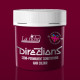 Directions Hair Colour Rubine (88ml)